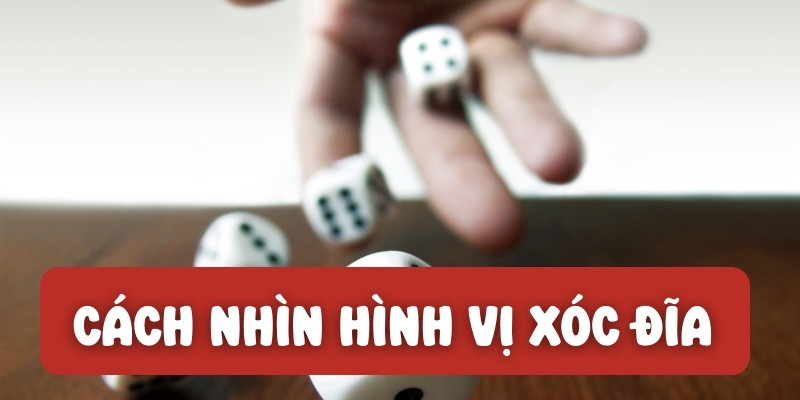 Cách Nhìn Hình Vị Xóc Đĩa - Kiến Thức Cần Biết Để Thắng Lớn